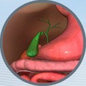 Gall Stones - Mr.Andrew Jenkinson - GALL BLADDER SURGERY London